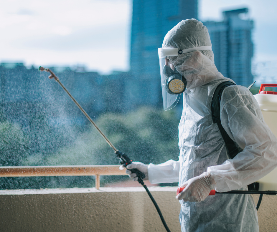 شركة مكافحة حشرات